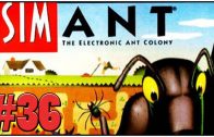 SimAnt Review – Definitive 50 SNES Game #36